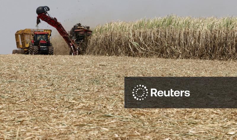 Vendas de etanol no Brasil somam 2,06 bi litros em agosto, maior volume desde dezembro de 2019
