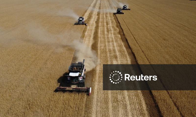 Sovecon reduz previsão de exportação de grãos da Rússia por interrupções no Mar Negro
