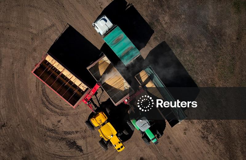 Área plantada com soja na Argentina deve crescer 1,2% em 26/27, diz bolsa