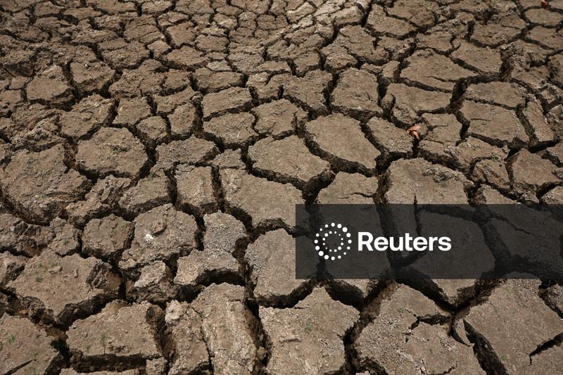 “Super” El Niño pode causar 451 mil mortes a mais, afirmam pesquisadores