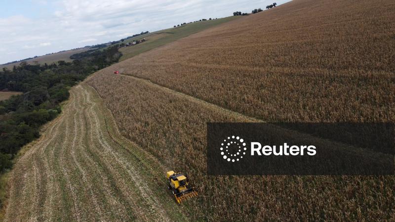 Conab eleva previsão de safra total de grãos do Brasil para recorde de 361,7 mi t em 2025/26