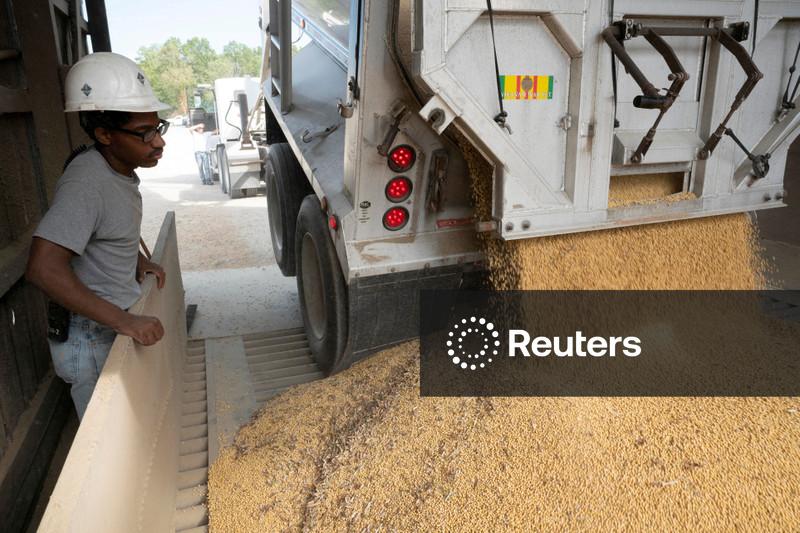 Futuros de milho fecham em queda em Chicago após surpresa no relatório de estoques do USDA