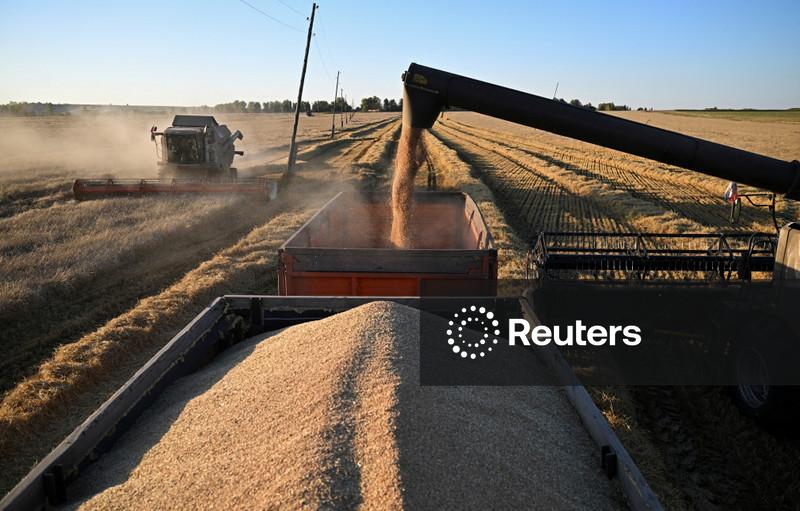 Rússia tem menos compradores de trigo devido à paralisação do comércio no Mar Negro