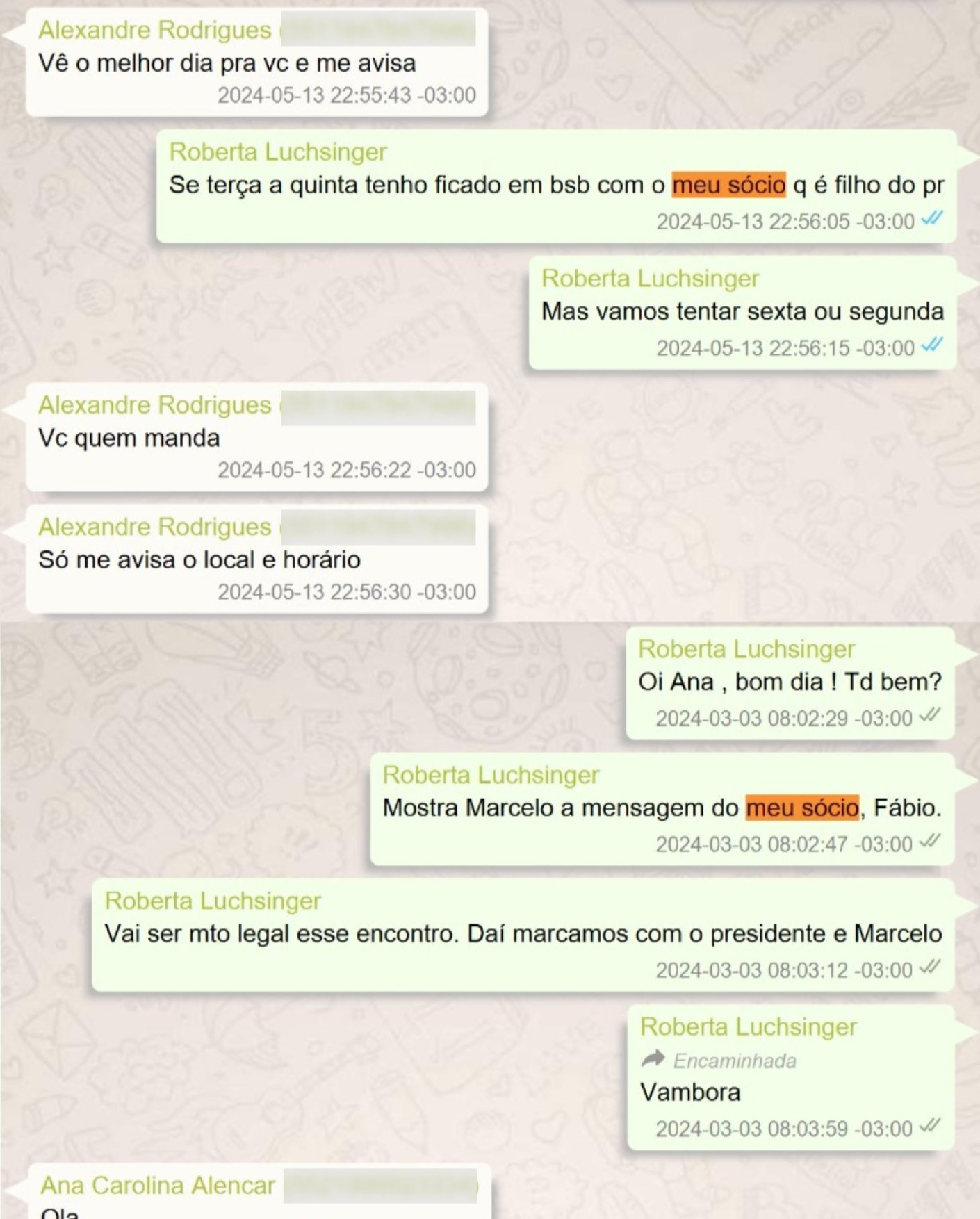 Outro print de mensagem em que Roberta Luchsinger trata Lulinha como sócio