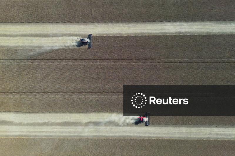 Emater projeta leve recuo na área de soja do RS, mas salto na safra 26/27