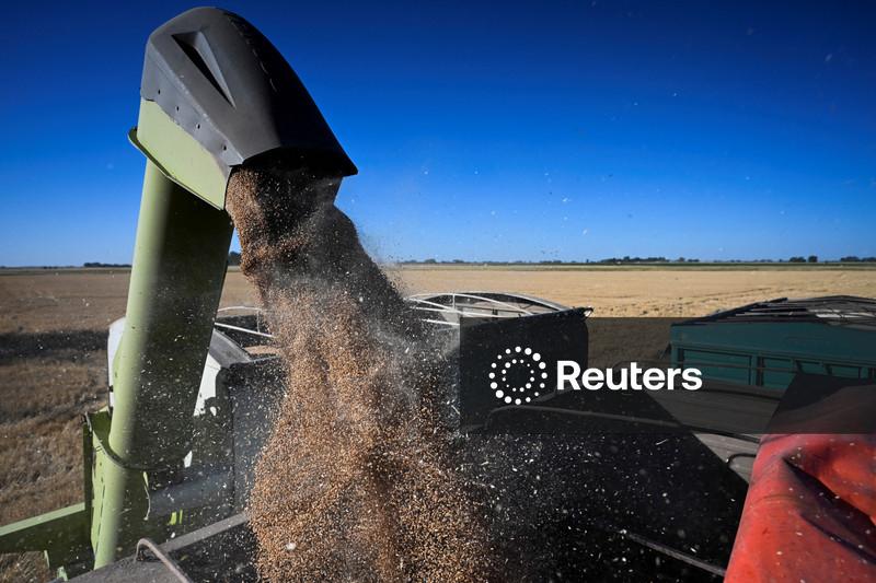 Argentina pode obter uma receita agrícola quase recorde em 2027, prevê bolsa