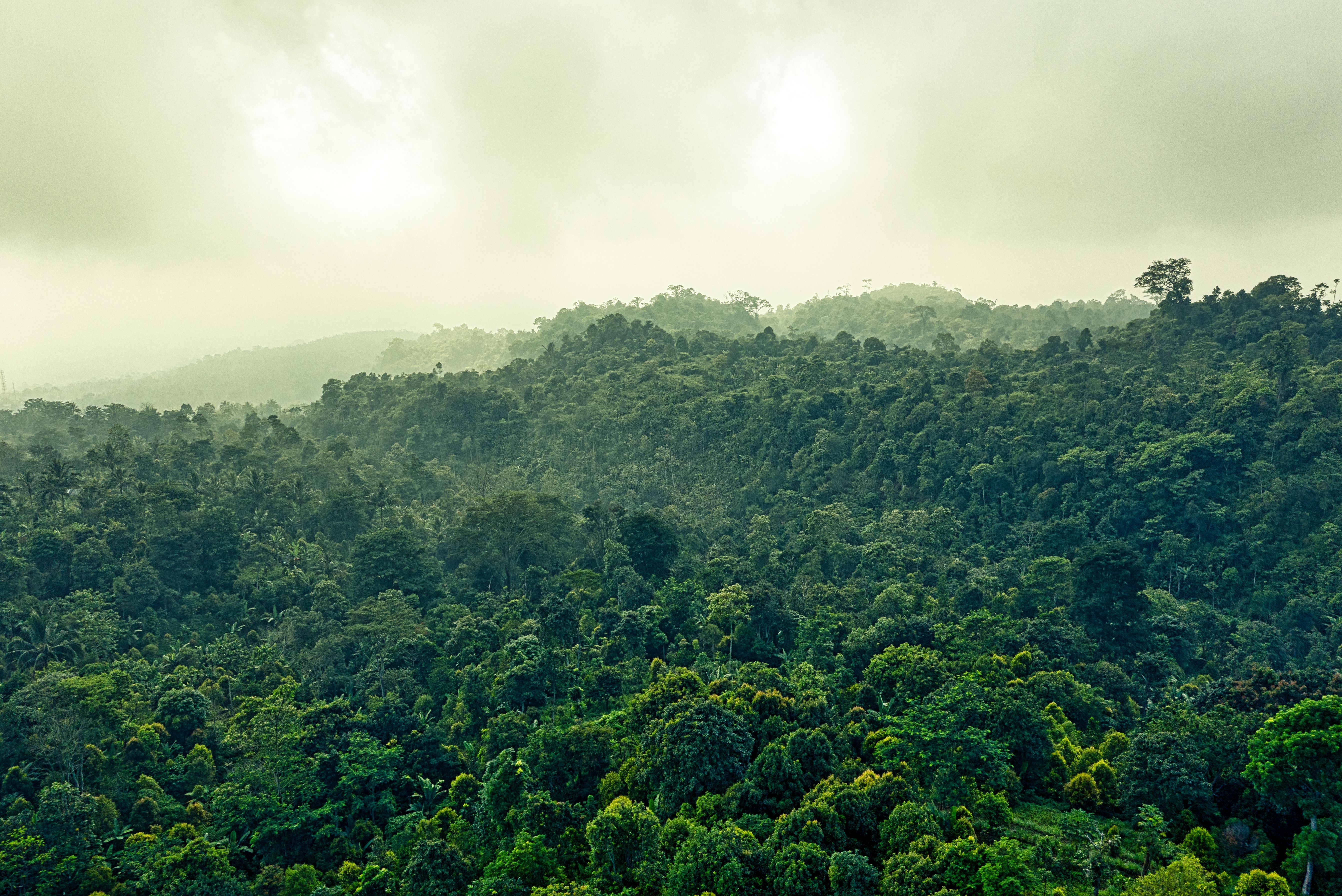 Ufam abre 100 vagas em especialização gratuita sobre gestão municipal sustentável na Amazônia