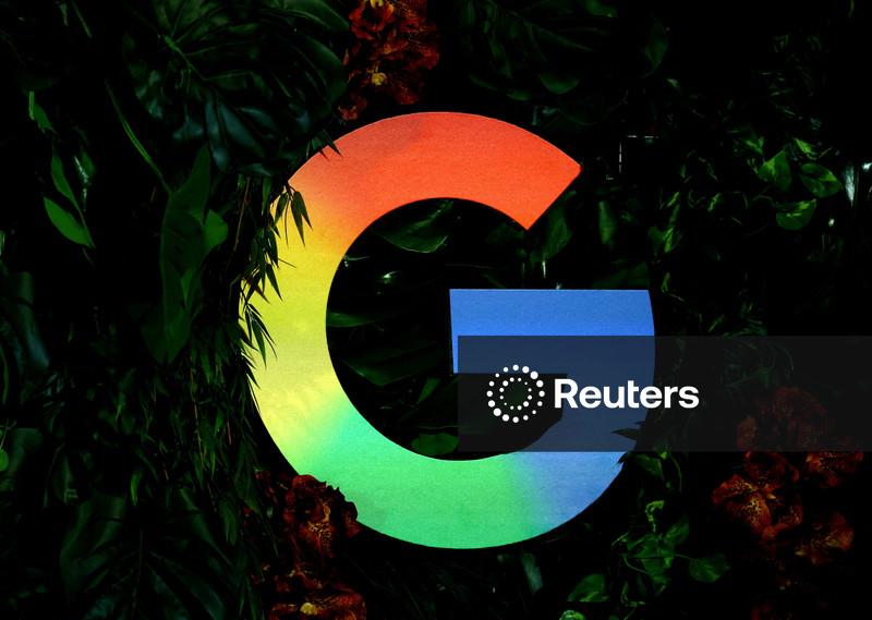 Google fecha maior acordo de remoção de carbono da sua história em projeto no Brasil