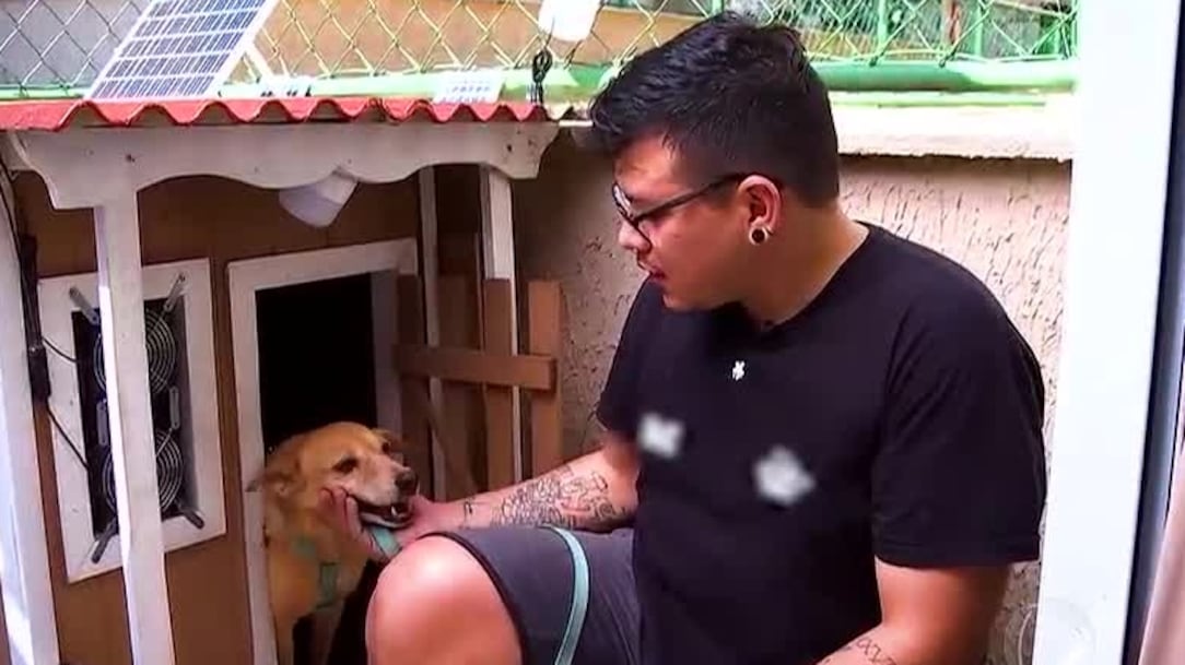 Cachorrinha ganha casinha com ventilador movido a energia solar em Manaus