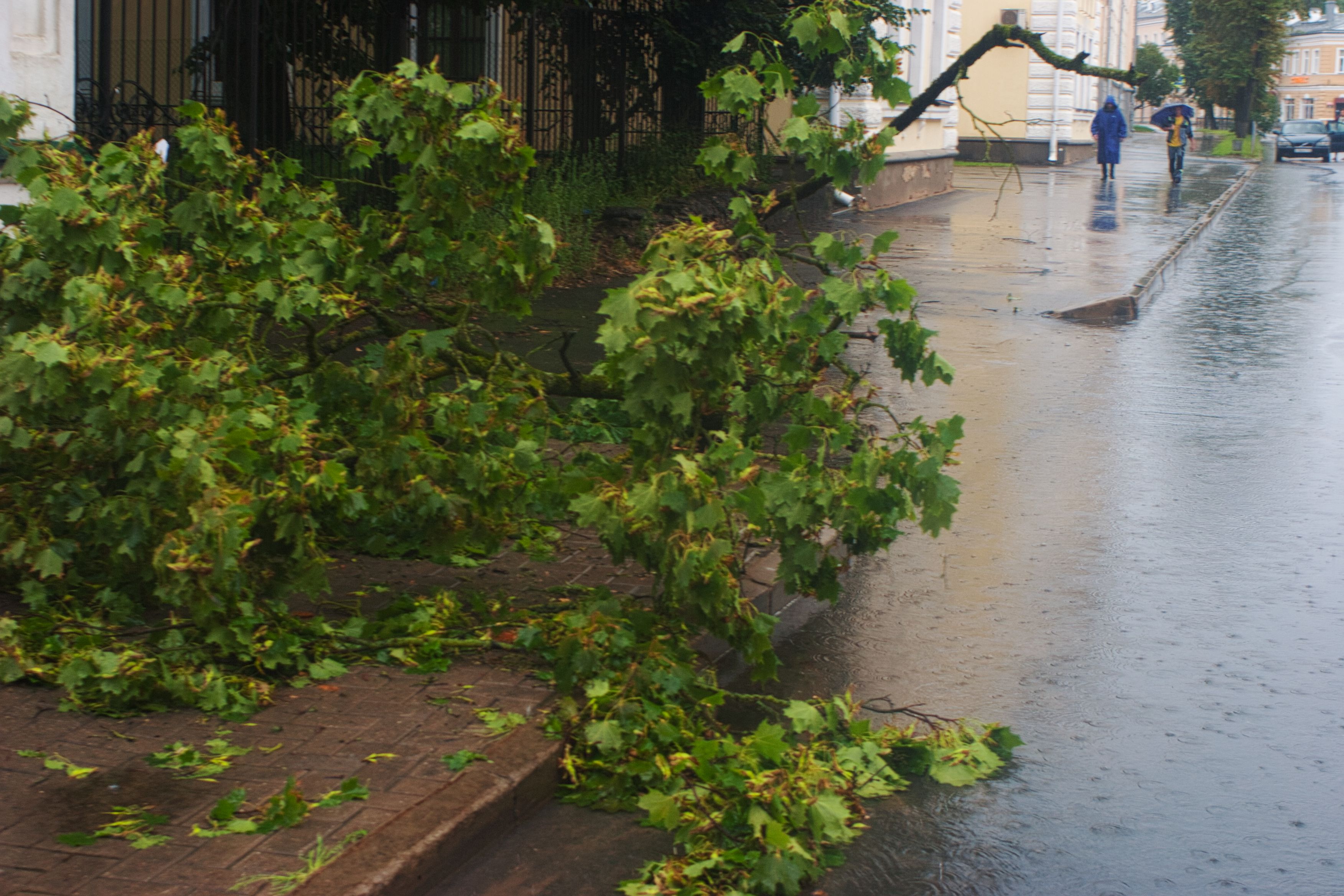 Temporal de sexta-feira leva Prefeitura a suspender Feira de Primavera na Praça Osório