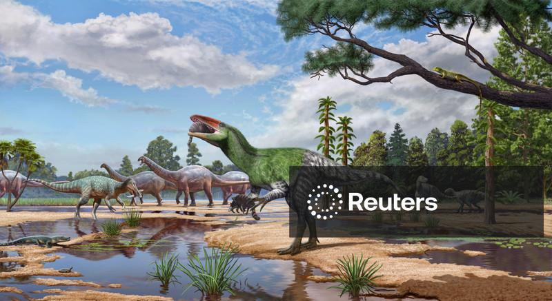 Fóssil da Ilha de Wight lança luz sobre enigmáticos dinossauros carnívoros