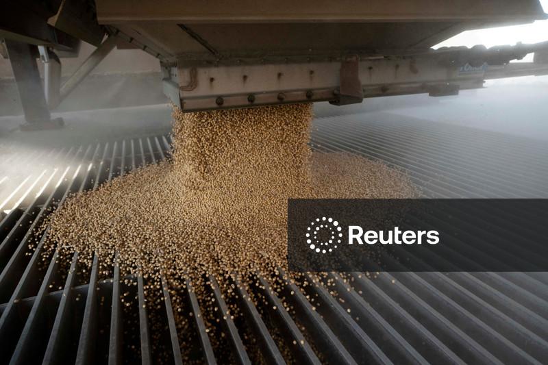 Importações de soja pela China caem 7,7% em setembro em relação ao ano anterior