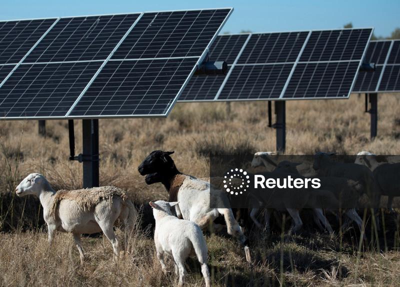 Novas regras de Trump dificultarão acesso de  agricultores a fundos para projetos de energia