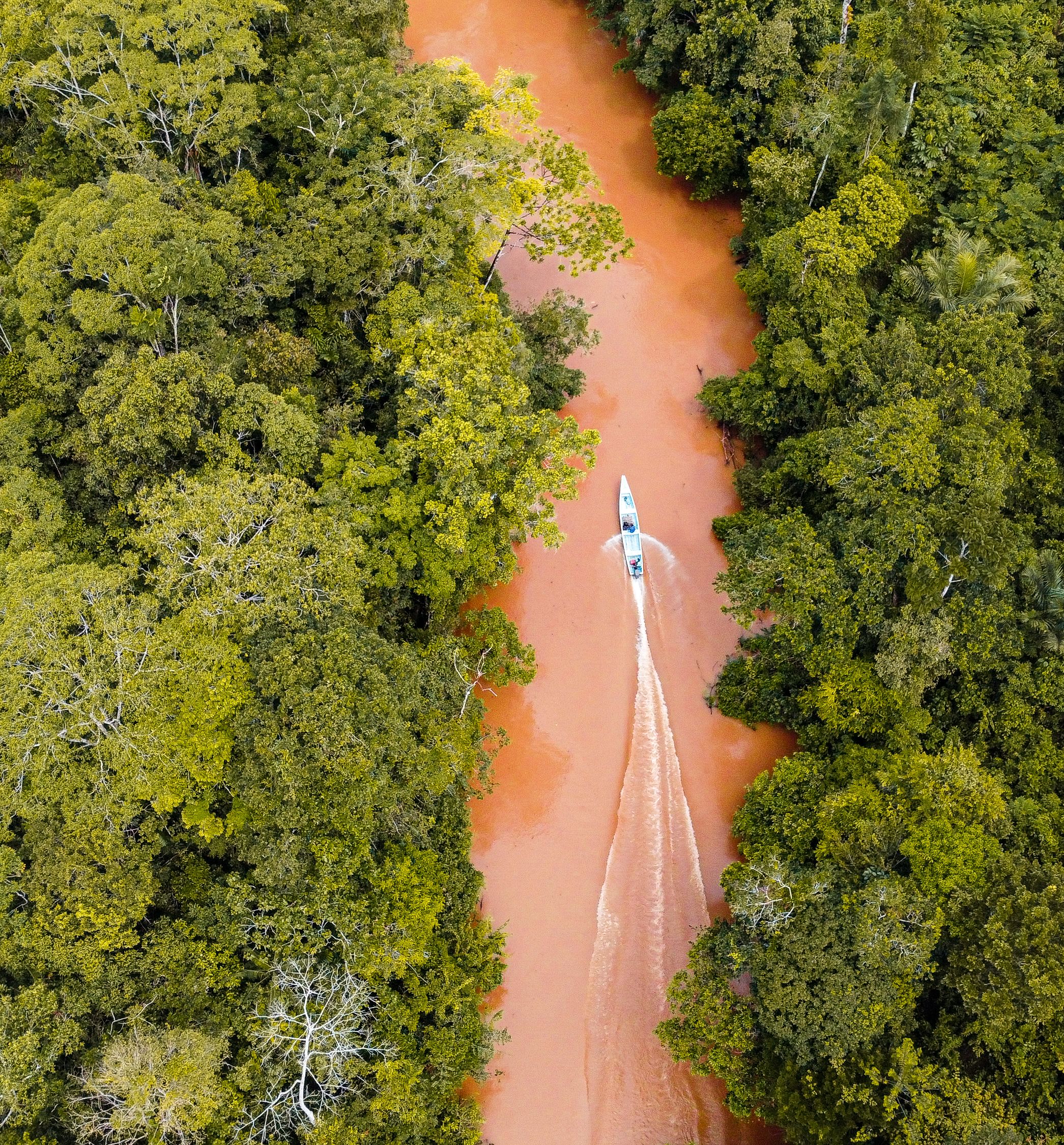 Ufam fecha parceria científica com instituições da França e de Marrocos para pesquisar clima na Amazônia