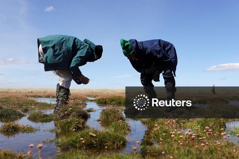 Mundo está muito aquém da meta de restauração de ecossistemas, diz ONU