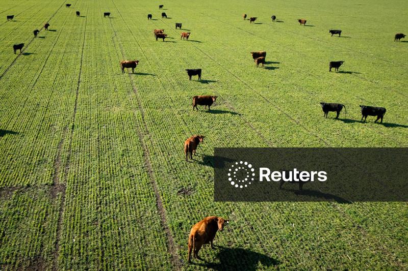 Ministro diz ver avanços nas negociações com a UE sobre embargos a carnes do Brasil