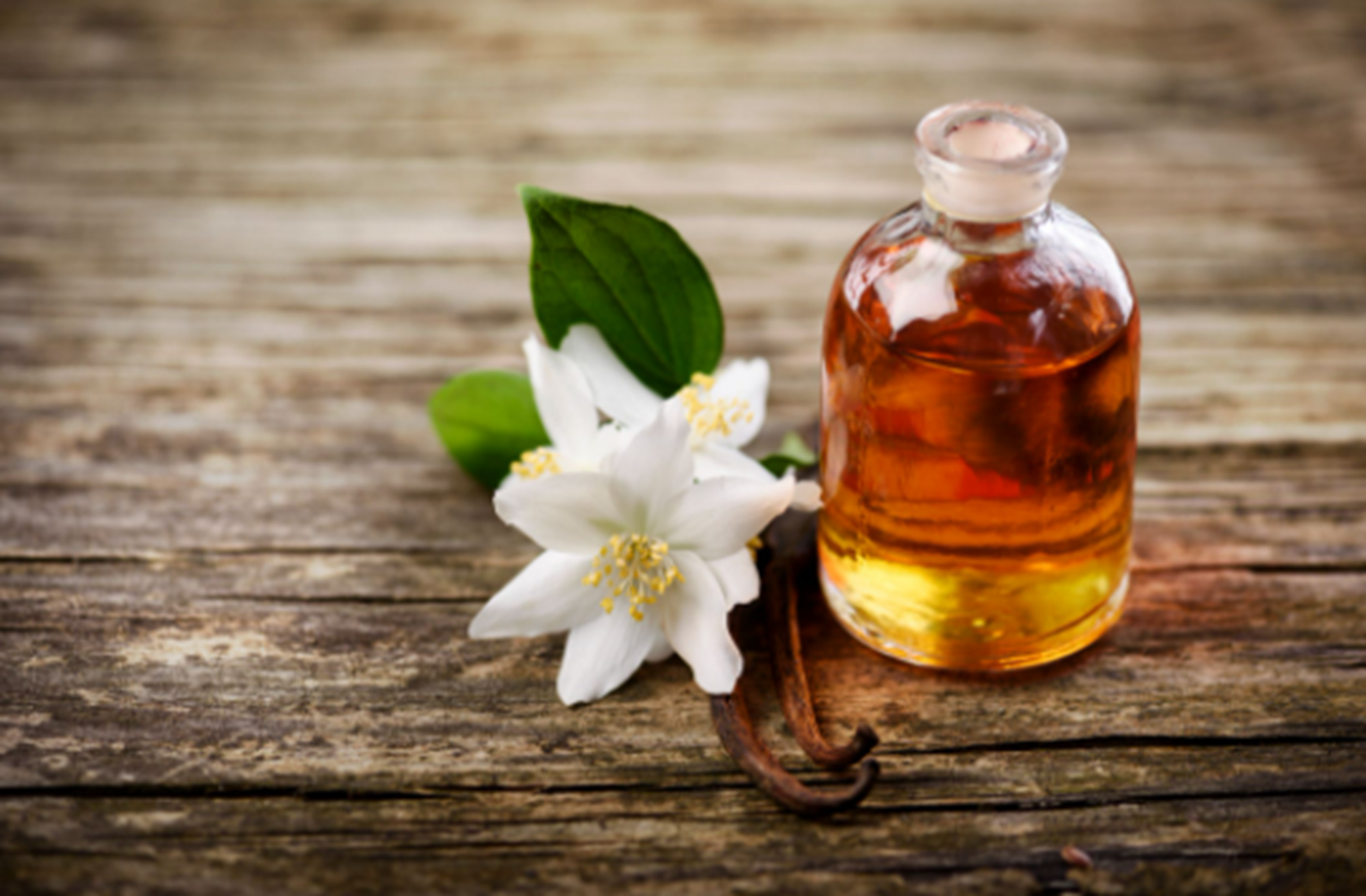 Pracaxi: a semente amazônica colhida sem cortar a árvore que virou aposta da cosmética internacional