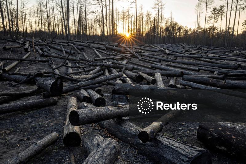 Principal órgão mundial de ciência climática suspende reunião sem chegar a acordo sobre cronograma de importante revisão