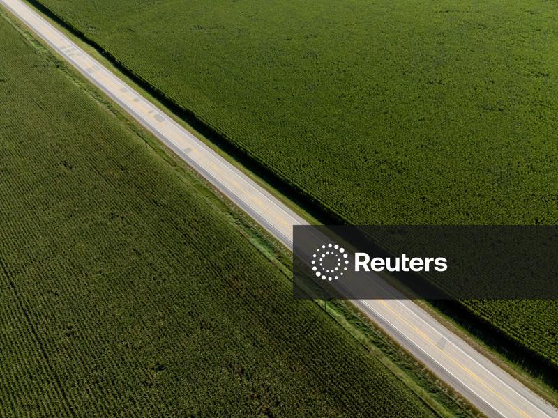 Milho despenca em Chicago após USDA elevar a previsão de produtividade nos EUA
