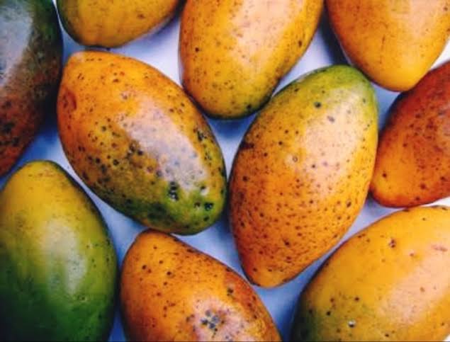 Mari-mari: a fruta aquática da Amazônia que pode conter a vitamina C de um dia inteiro em uma só unidade